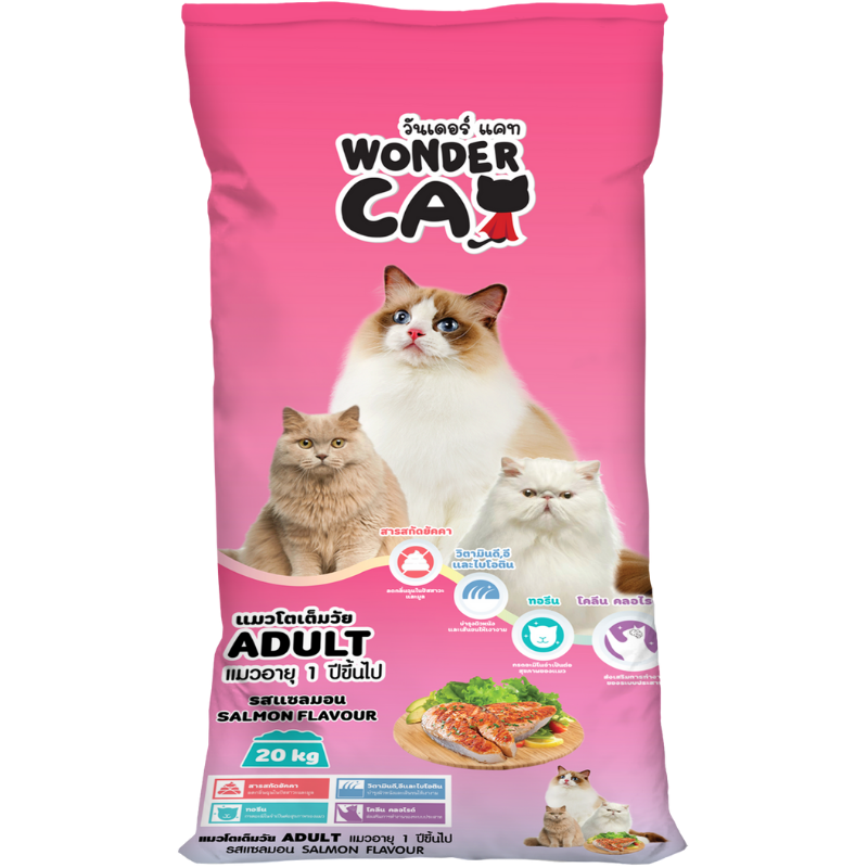 Thức ăn hạt WONDER CAT Salmon Flavour cho Mèo vị Cá Hồi